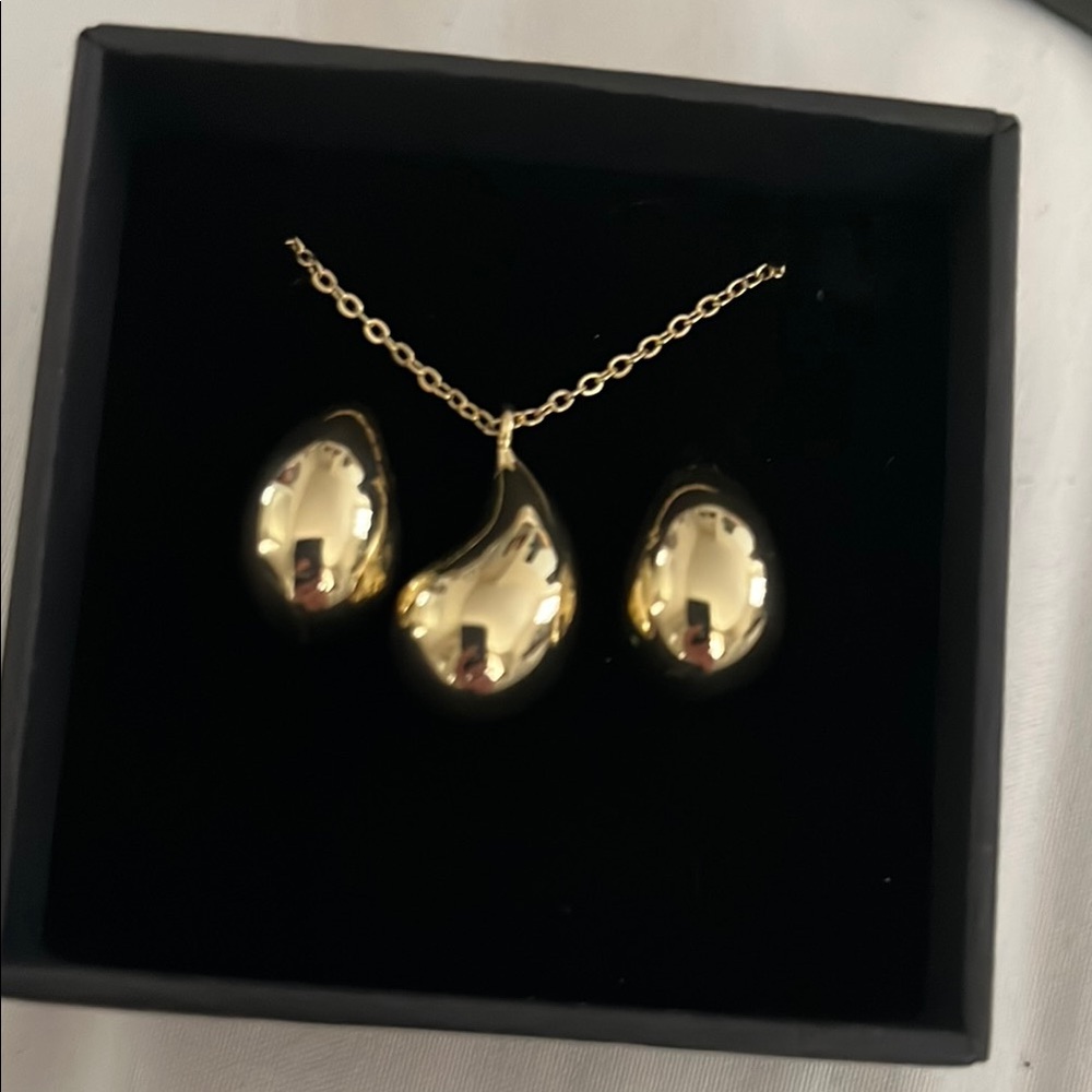 Nic & Syd Gold Teardrop Necklace and Earrings NEW